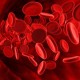 Особенности свертываемости крови